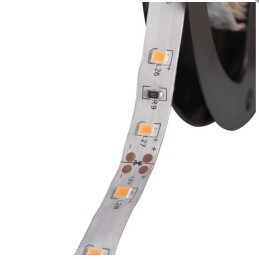 High Quality 5m LED Strip 