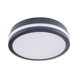 Wall - Ceiling Mount light fitting BENO LED