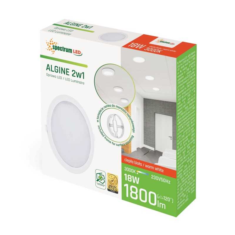 Algine 2 in 1 Panel - Surface or Recessed Mount Algine 2 in 1 Panel - Surface or Recessed Mount