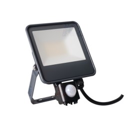 Premium Quality iQ-FL 50w Floodlight With Sensor