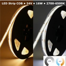 CCT STRIP