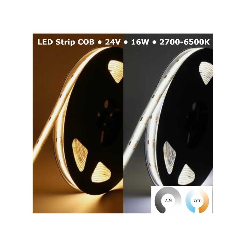 CCT STRIP