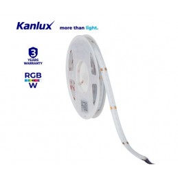 RGBW COB Strip 24v