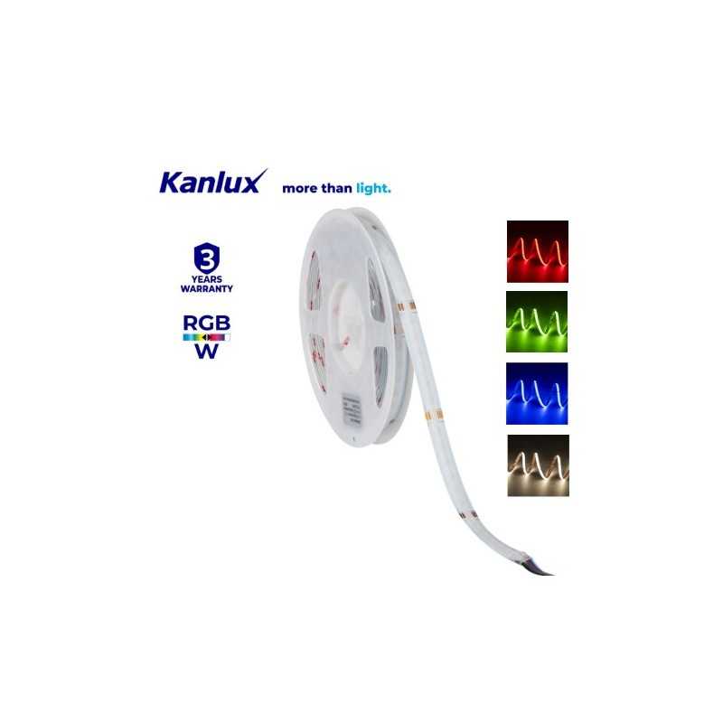 RGBW COB Strip 24v