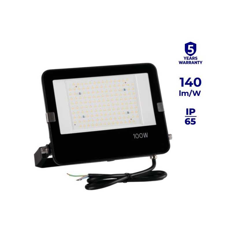 High Quality LED floodlight 100w FL AGOR PRO LED